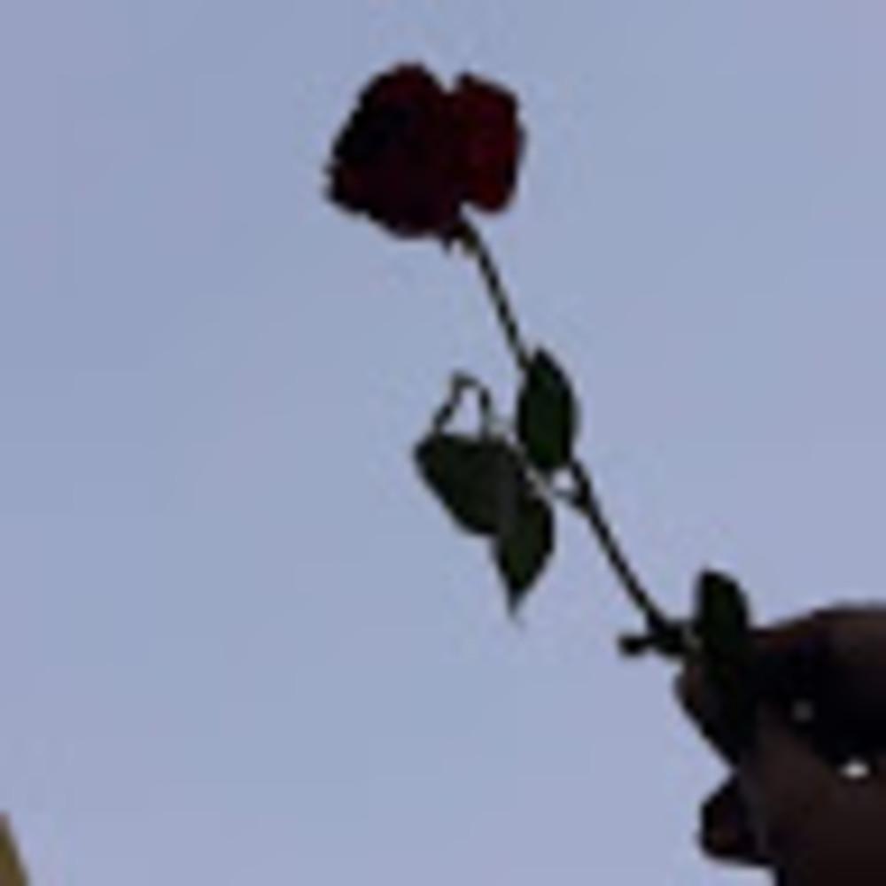 Meet your Posher, Landon